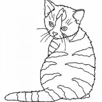 скачать раскраску котиков