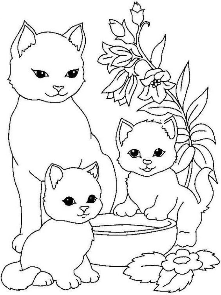 котенок картинка для детей раскраска
